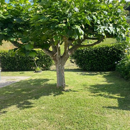 Moradia Rustica Jardim Βίλα Caloura Εξωτερικό φωτογραφία