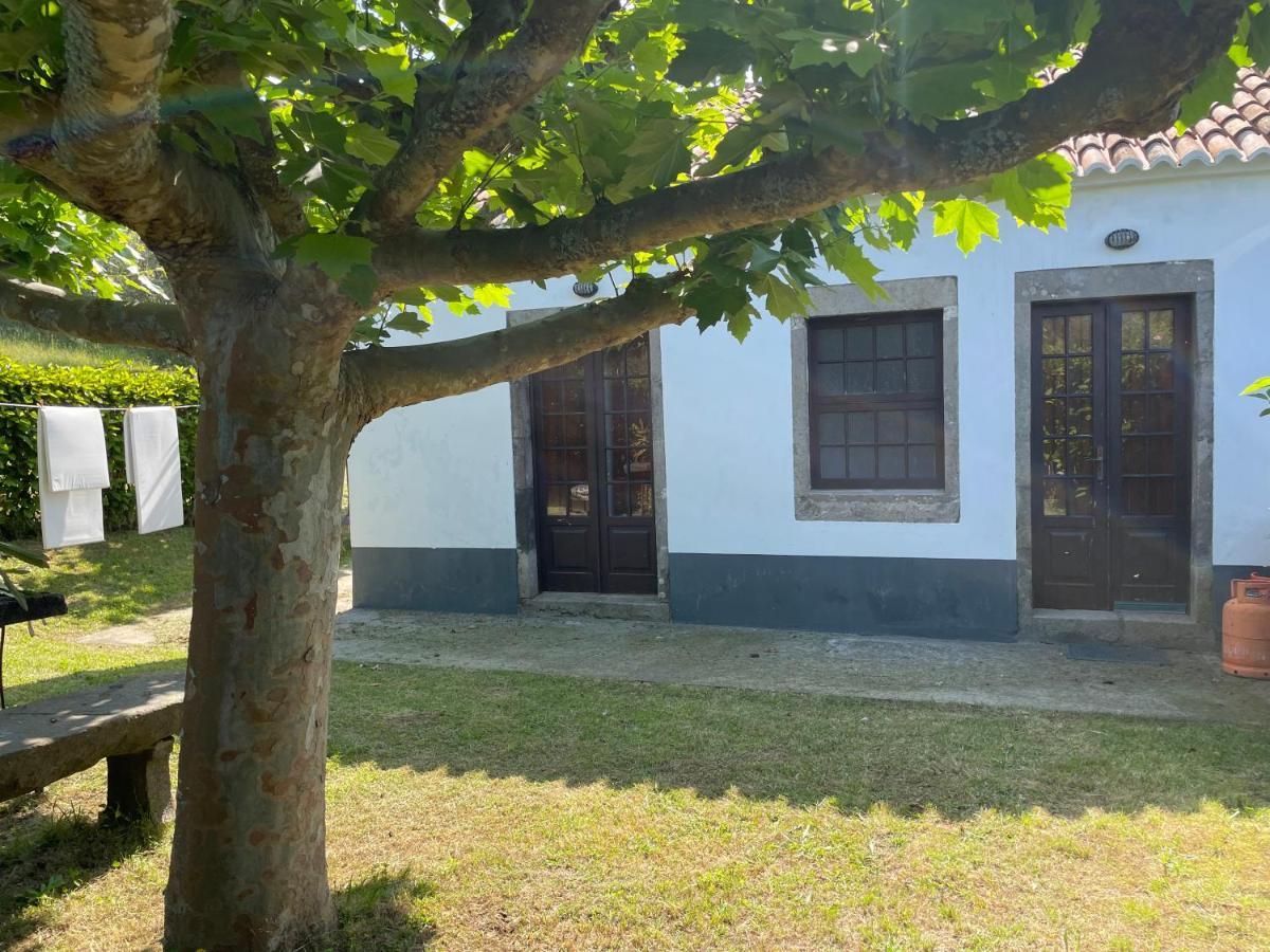Moradia Rustica Jardim Βίλα Caloura Εξωτερικό φωτογραφία