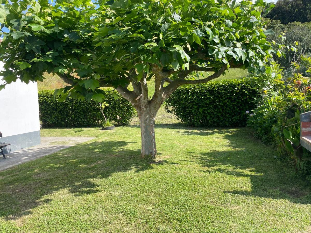 Moradia Rustica Jardim Βίλα Caloura Εξωτερικό φωτογραφία